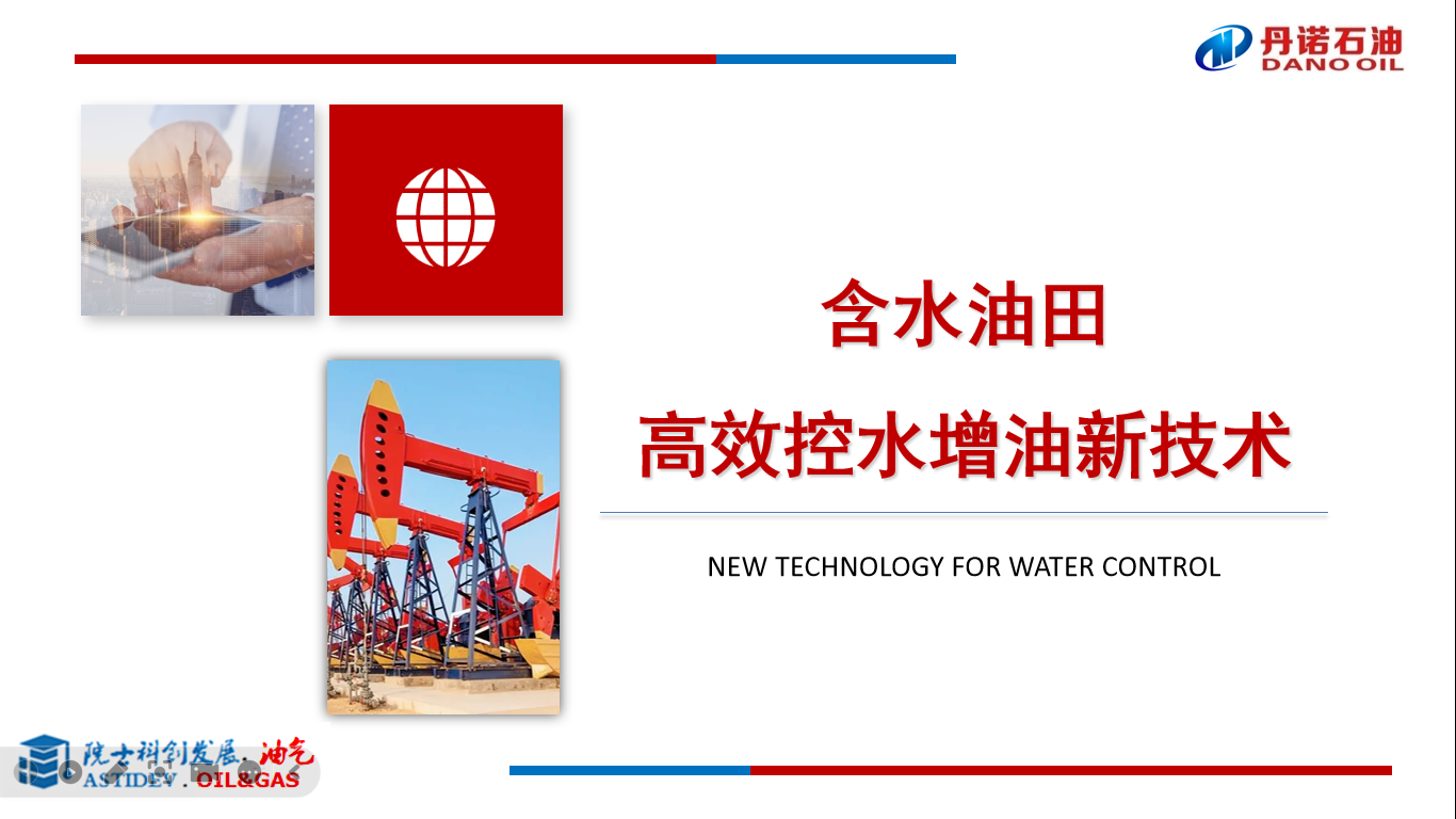 含水油田 高效控水增油新技术